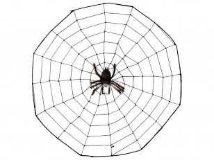 Spider Web Clip Art - Tree - Cartoon Spiders Pictures Transparent PNG