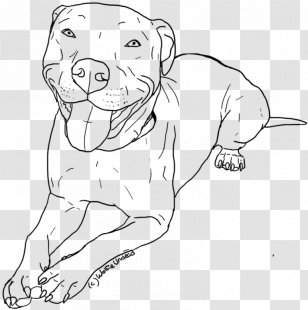 American Pit Bull Terrier Coloring Book Drawing - Joint - Child Transparent PNG