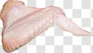 Fish Turkey Meat Chicken As Food - Tree - Raw Transparent PNG