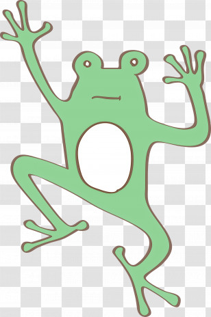 True Frog Frogs Tree Frog Leaf Plant Stem Transparent PNG