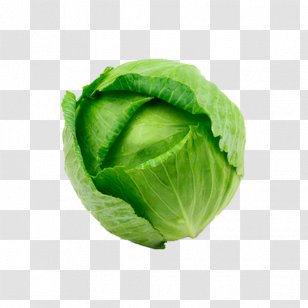Romaine Lettuce Savoy Cabbage Cruciferous Vegetables Spring Greens Collard - Vegetable Transparent PNG