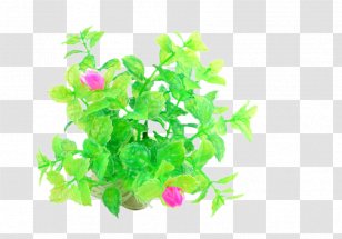 Aquarium Akwarium Holenderskie Ornamental Fish - Tree - High Simulation Lazy Mini Dwarf Plants Scenery Transparent PNG