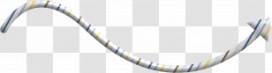 Arrow Download - Designer - Pretty Creative Transparent PNG