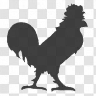 Cock Hotel Rooster Bird Wyandotte Chicken Phasianidae - Wing Transparent PNG
