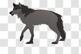 Dog DeviantArt Artist Red Fox - Watercolor - Beautiful Wolf Drawings Transparent PNG