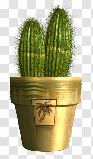 Cactaceae Clip Art - Caryophyllales - Cactus Transparent PNG
