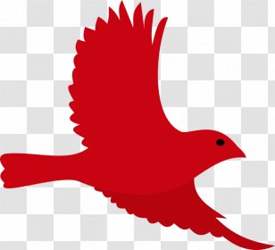 Bird Roblox Beak Owl Chicken - Pink Transparent PNG