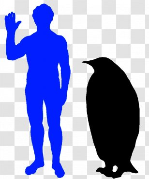 Ornimegalonyx Owl Bird Ichthyornis Dinosaur - Theropods - Squid Fish Transparent PNG