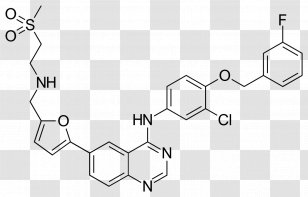 Lapatinib Epidermal Growth Factor Receptor Chemistry Capecitabine Cancer - Black And White Transparent PNG