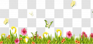 Butterflies Grasses Petal Pollinator Flower Transparent PNG