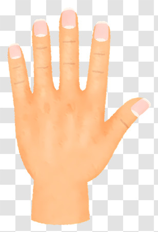 Hand - Illustrated Human Hand With Nails Transparent PNG