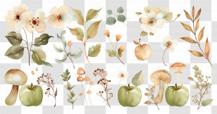 Autumn Background - Green Apples And Flowers Botanical Illustration Transparent PNG