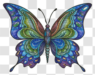 Cartoon - Colorful Butterfly Illustration With Ornate Details Transparent PNG