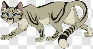 Warriors Cat Drawing Long Tail - Mammal Transparent PNG