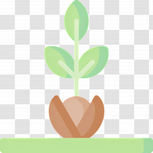 Seed Germination - Seedling Sprouting With Green Leaves Illustration Transparent PNG