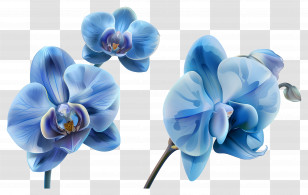 Orchid Flower - Beautiful Blue Orchid Flowers Transparent PNG