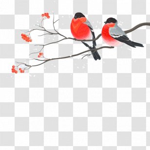 Painting Birds - Cartoon - Bird Transparent PNG