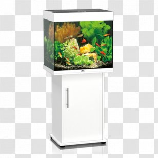 Aquarium Filters Fish Heater Koi - Cabinetry Transparent PNG
