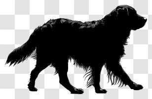 Dog Silhouette - Dog Silhouette Illustration Transparent PNG