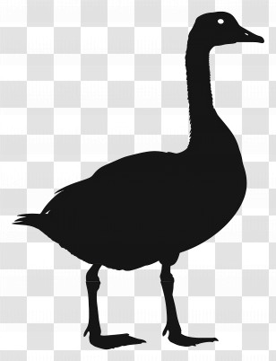 Goose Silhouette - Elegant Goose Silhouette Illustration Transparent PNG