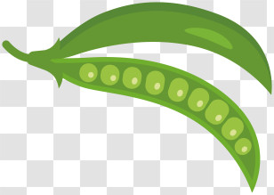 Pea - Green Pea Pod Illustration Transparent PNG