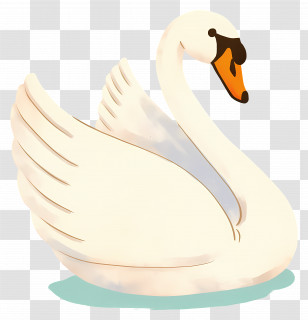 White Swan - Elegant White Swan In Calm Water Transparent PNG
