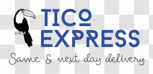 Express, Inc. Business Internet Service Logistics - Area Transparent PNG