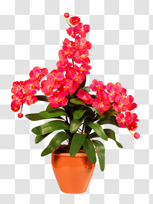 Potted Plants - Pink Orchid Plant In A Pot Transparent PNG