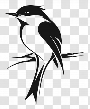 Simple Design - Black Bird Silhouette On Branch Transparent PNG