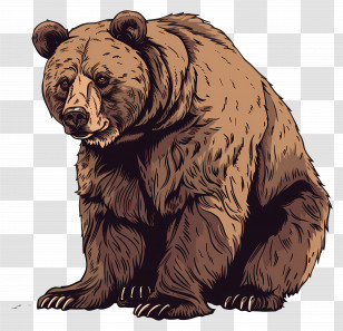Bear - Realistic Brown Bear Illustration Art Transparent PNG