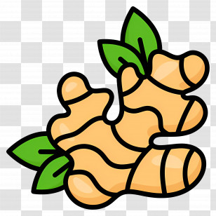 Turmeric - Ginger With Leaves Illustration Transparent PNG