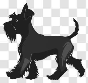 Dog Silhouette - Black Schnauzer Dog Silhouette Transparent PNG