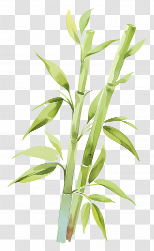 Watercolor Bamboo - Green Bamboo Plant Illustration Transparent PNG