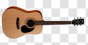 Steel-string Acoustic Guitar Cort Guitars Dreadnought - Cartoon Transparent PNG