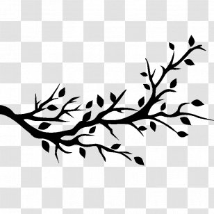 Bird Wall Decal Tree Branch - Paper Transparent PNG