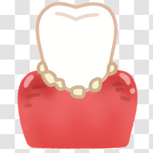 Body - Tooth Illustration With Red Gums Transparent PNG