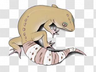 Reptile Lizard Common Leopard Gecko - Geckos - Albino Transparent PNG