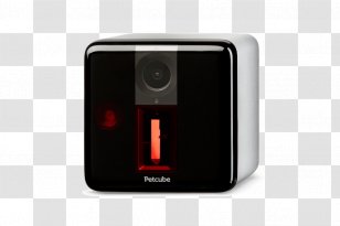 Petcube Play Dog Toys Cat - Toy Transparent PNG