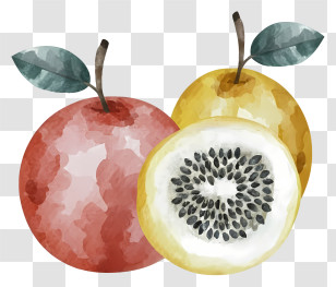 Cartoon - Fresh Fruits Including Apple And Kiwi Transparent PNG