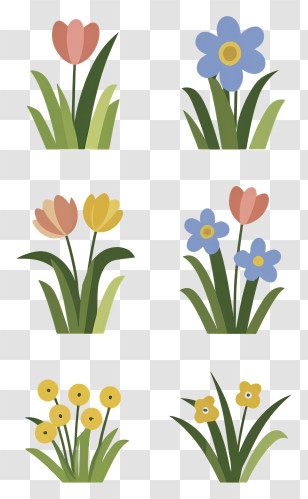 Cartoon - Minimalistic Flower Illustrations Transparent PNG