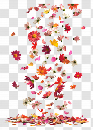 Falling Flowers - Falling Vibrant Flowers Transparent PNG