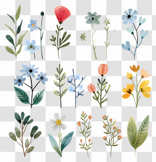 Wild Flower - Collection Of Floral And Leaf Designs Transparent PNG