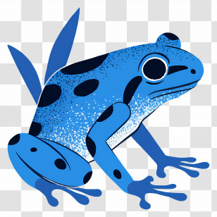 Poison Dart Frog - Blue Spotted Frog Transparent PNG
