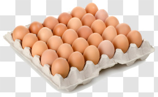 Egg - Tray Of Brown Eggs In A Carton Transparent PNG