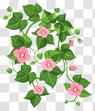 Garden Ivy - Flowering Vine With Pink Flowers Transparent PNG