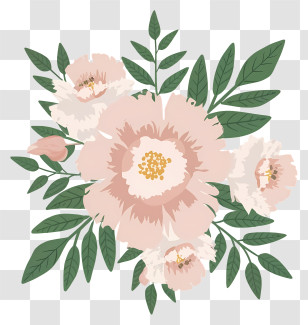 Pink Peony Flowers - Delicate Pastel Flower Bouquet Illustration Transparent PNG