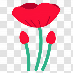 Wildflower - Red Flower With Buds Transparent PNG