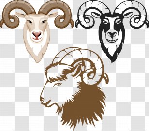 Goat Sheep Royalty-free - Big Cats Transparent PNG