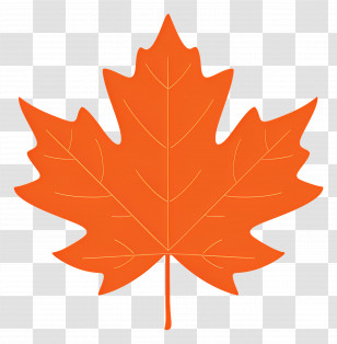 Autumn Maple Leaf - Orange Maple Leaf Illustration Representing Autumn Season Transparent PNG