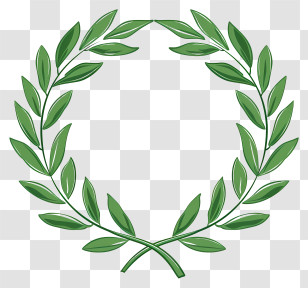 Laurel Wreath - Green Laurel Wreath Illustration Transparent PNG